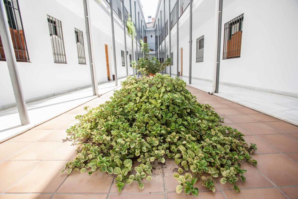 La Casa De Artista, Zona Museo Apartment Sevilla Bagian luar foto